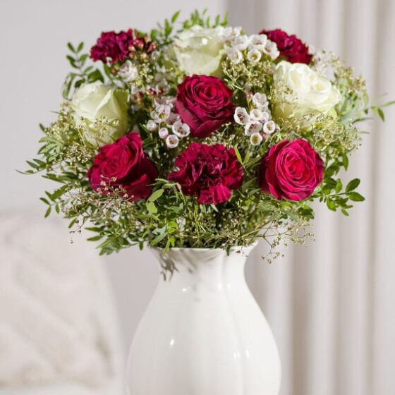 Winter Roses