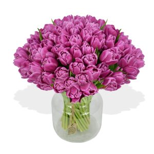 Purple Tulips